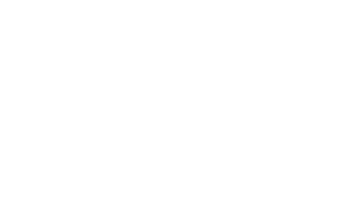 Vaelsa logo